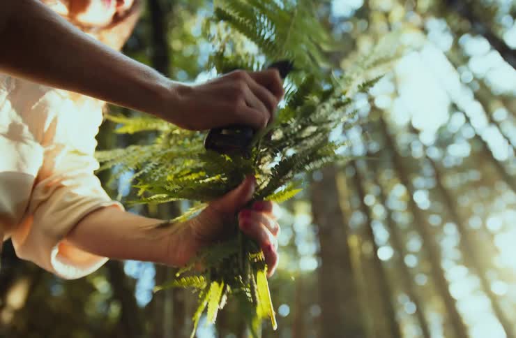 A woman arranges large green leaves while holding shears in a dense forest