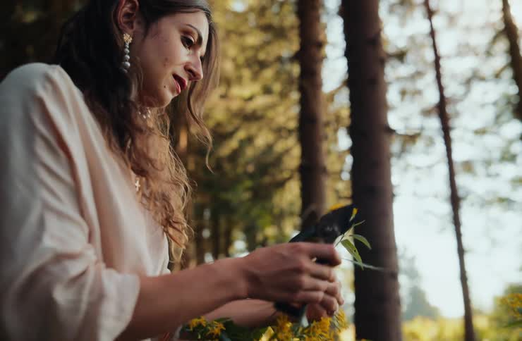 Woman cutting yellow flowers with scissors and placing them in a basket in the forest