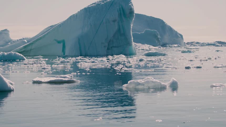 Glacier and icebergs as seagulls fly over melting ice floating on arctic water