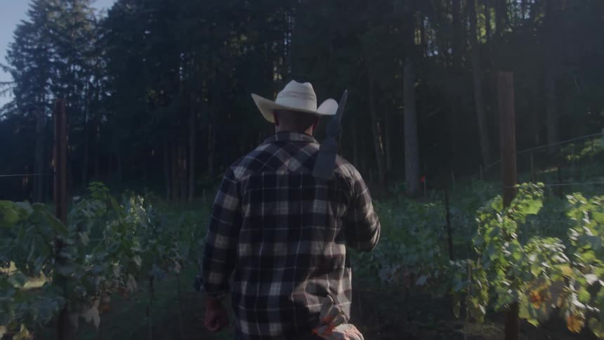 A man wearing a cowboy hat walks through a vineyard towards a forested area at dusk