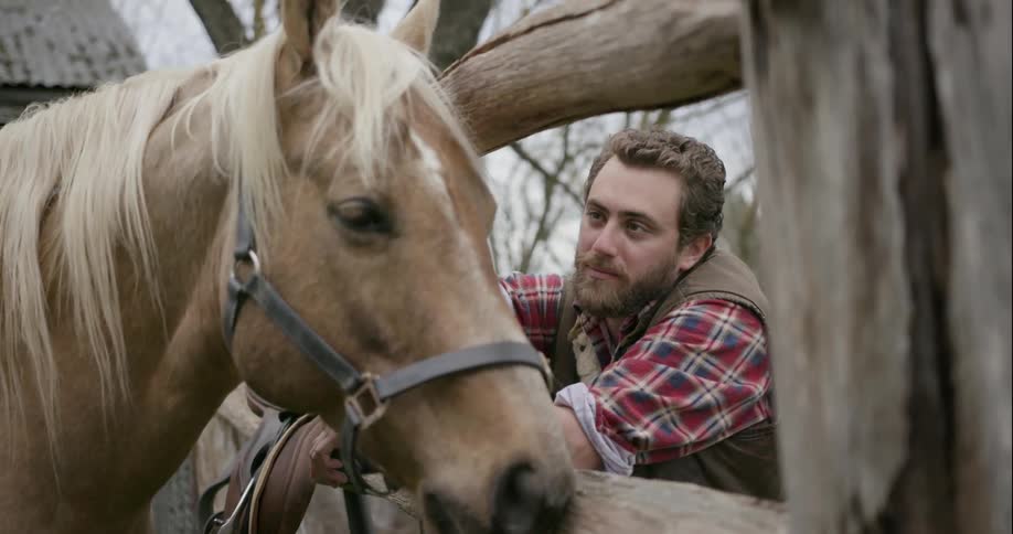 A man is smiling as he looks at a horse