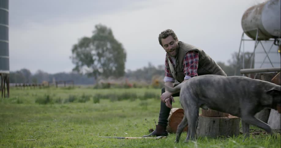 A dog comes running when a man claps his hands and calls