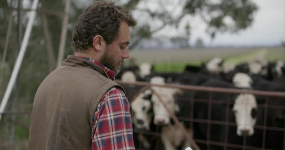 A man is using his phone on a farm