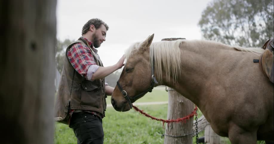 A man pets a horse