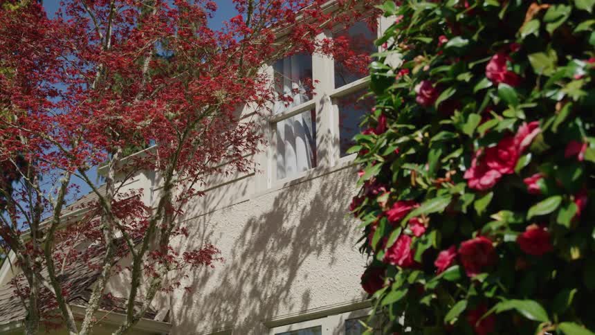 The stucco wall and windows of a house are framed by a vibrant redleafed tree and a large dark green bush bearing red flowers under a bright blue sky