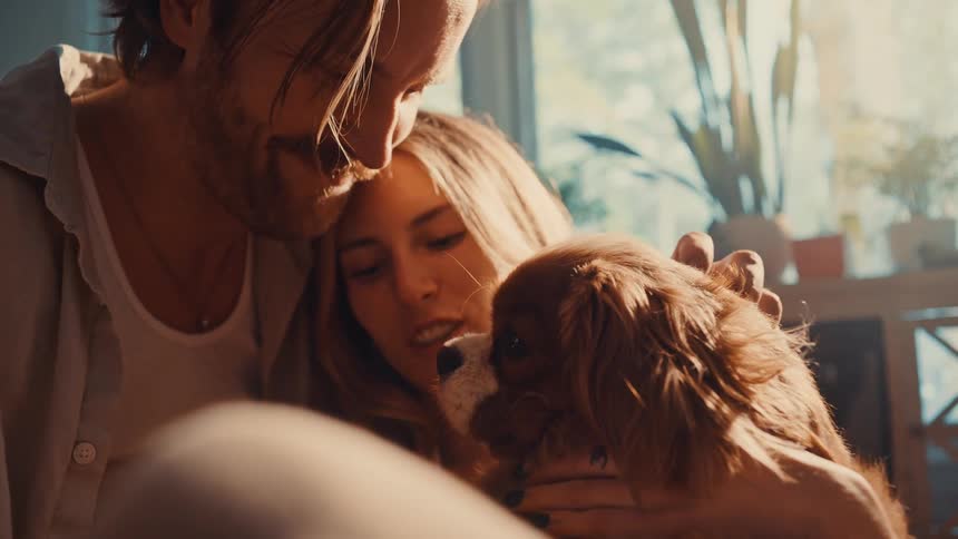A happy couple cuddles with their dog in a sunlit room as it affectionately licks the womans face