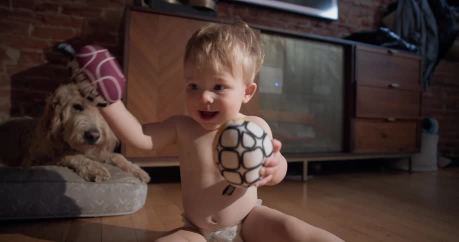 The dog watches the baby play with toys