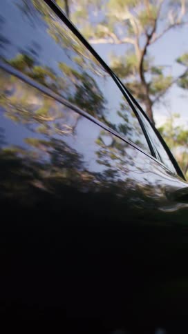 A vertical close view captures the dark highly reflective exterior and window of a car showing the inverted and distorted reflection of green trees and the bright sky