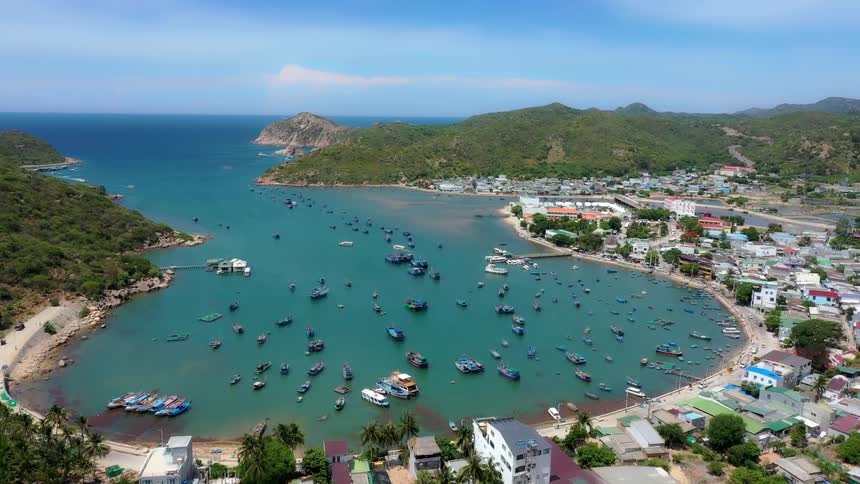 Blue cove surrounded by hills and an urban area with dozens of boats spread across the bay