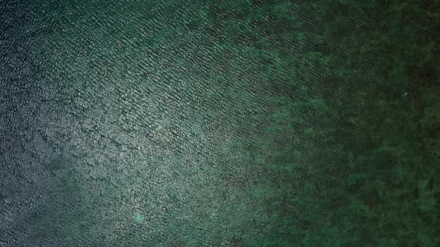 An extreme overhead shot starts over dark textured ocean water and slowly pans to the right revealing the lighter mottled green seabed and the abrupt transition to a thin line of sandy beach