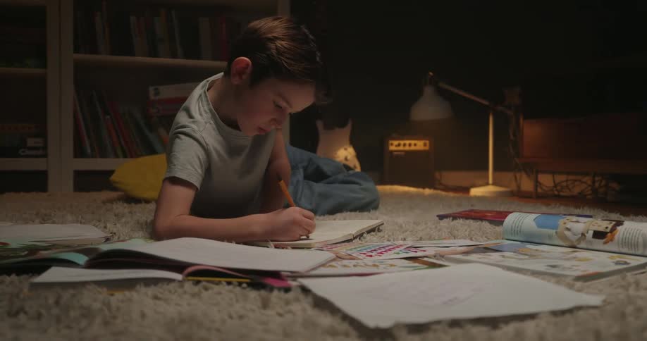 A young boy is lying on his stomach on a cozy lightcolored rug surrounded by various open books notebooks and colorful papers he is concentrating and writing in a journal with an orange pencil in the dimly lit room which features a bookshelf and a