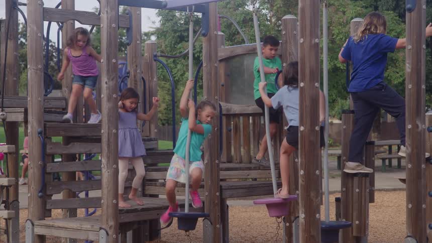 A group of kids playing on a jungle gym