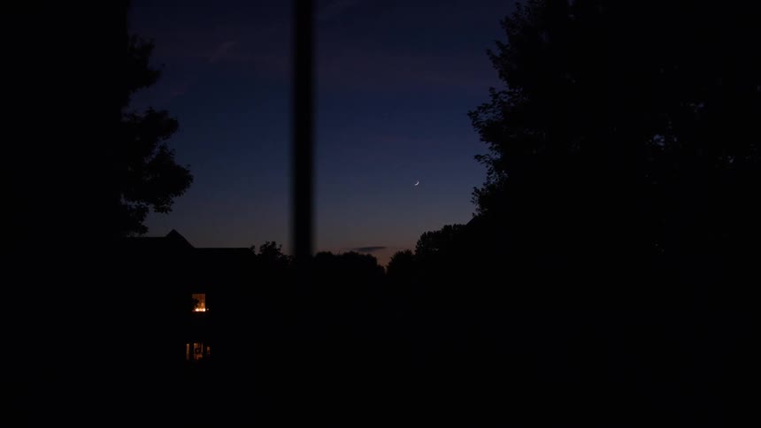 Night sky with a thin moon above silhouettes of trees