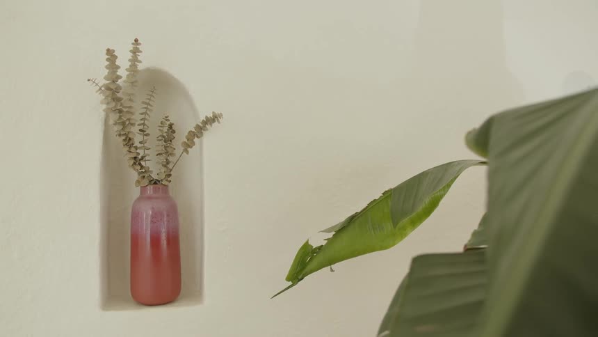 A potted plant sits against the side of a wall its leaves reaching outward while a tall banana tree stands beside the wall