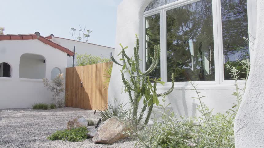 A cactus plant stands outside a white stucco house in a residential neighborhood