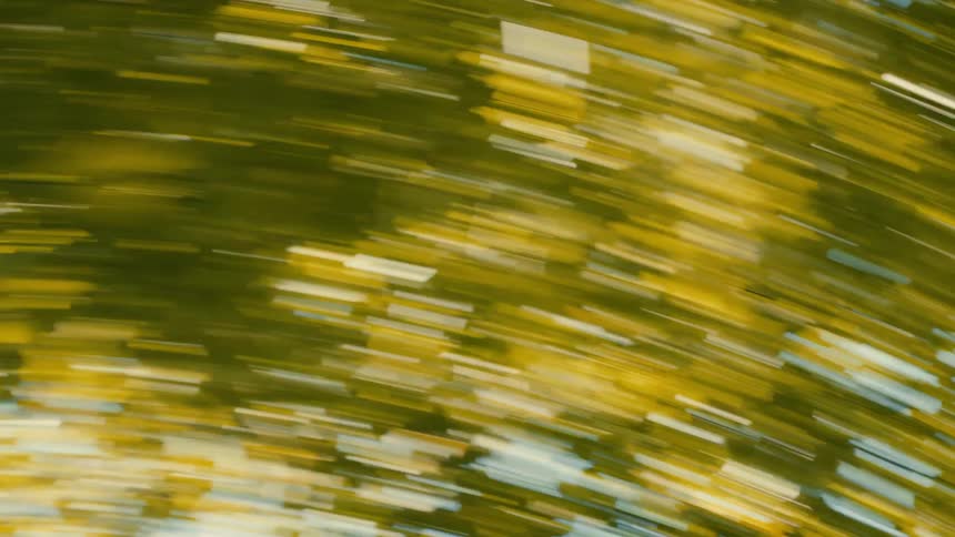 Blurred green tree tops and the sky spin in a dizzying motion