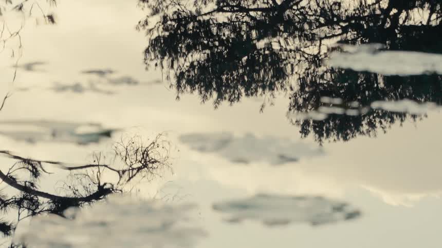 Reflection of trees and clouds on the waters surface