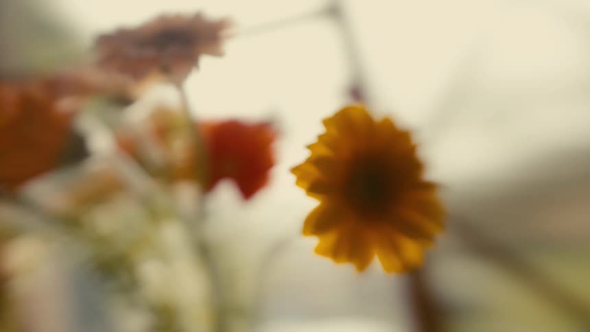 Blurred yellow flowers are bathed in bright warm sunlight