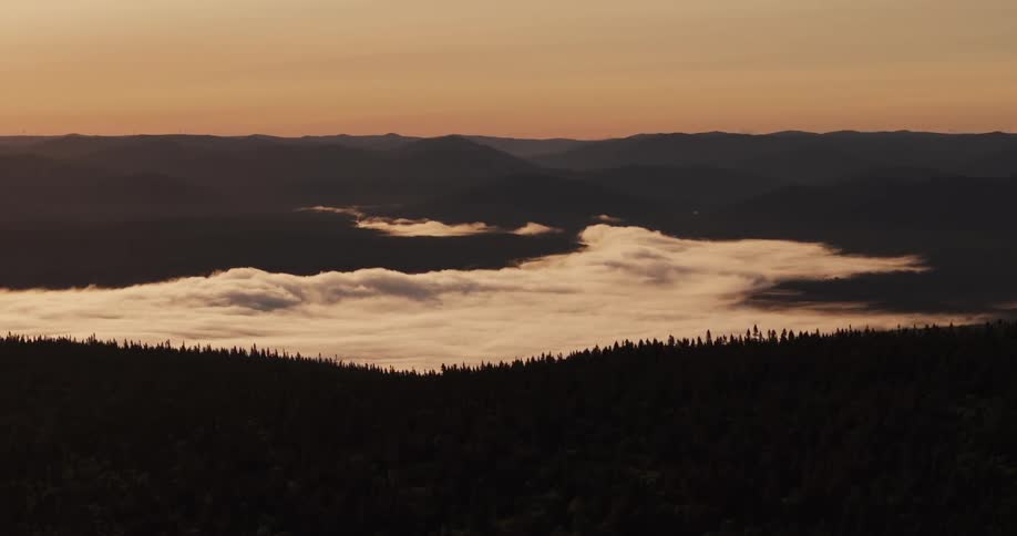 Uma paisagem de uma floresta alta com um mar de nuvens brancas ao fundo