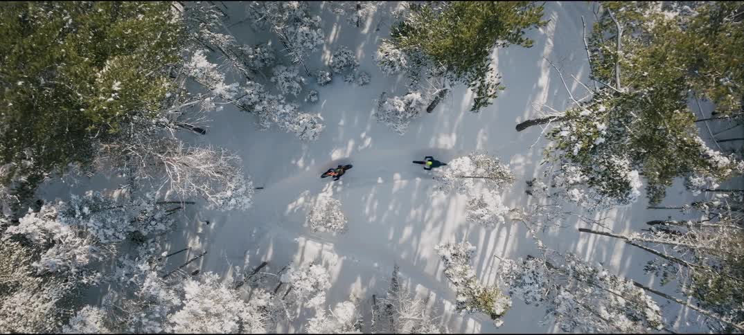 Two people riding bikes on a snowy forest trail at midday