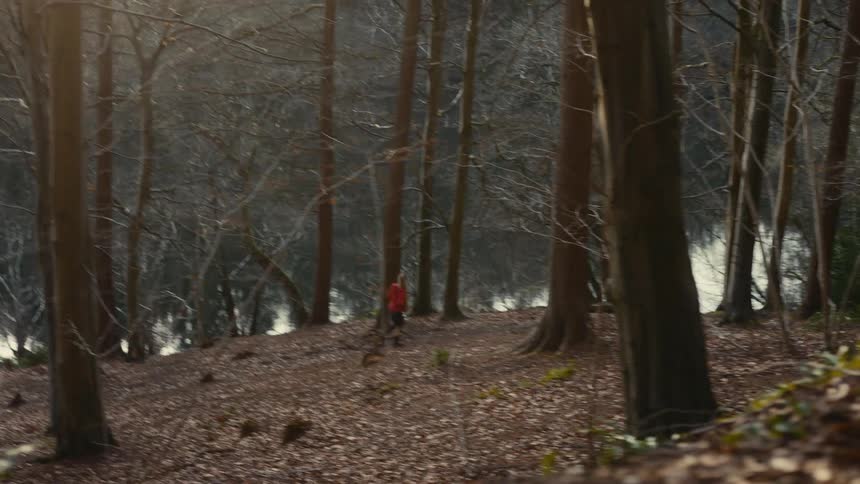 A woman hiking through the woods
