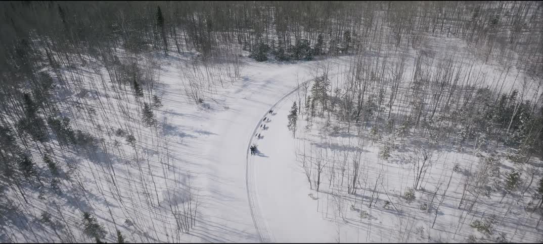 Person mushing a dog sled over a road surrounded by trees and snow outdoors during day time