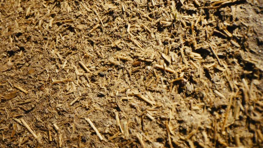 Surface of dry soil mixed with wood fragments