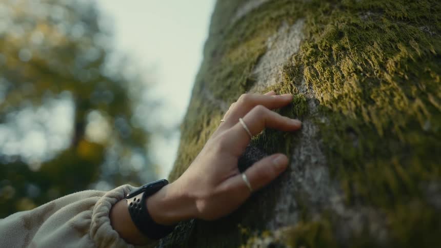 Young woman moving her hand across a tree trunk in the forest