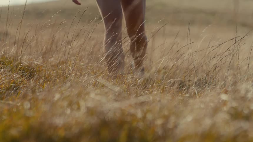 Persons legs walking through dry grass