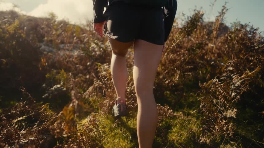 Low angle view from behind showing the legs of a woman hiking through tall ferns on a sunny day with bright light flaring in the background