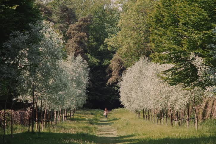 Female person wearing a coat walking on a path surrounded by grass and trees outdoors during day time