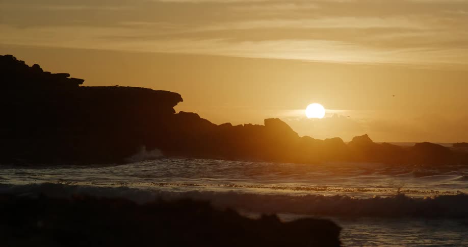 The bird flies over the coast at sunrise