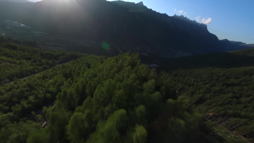 Aerial view of a vibrant green mountain valley with a winding river under a bright clear sky