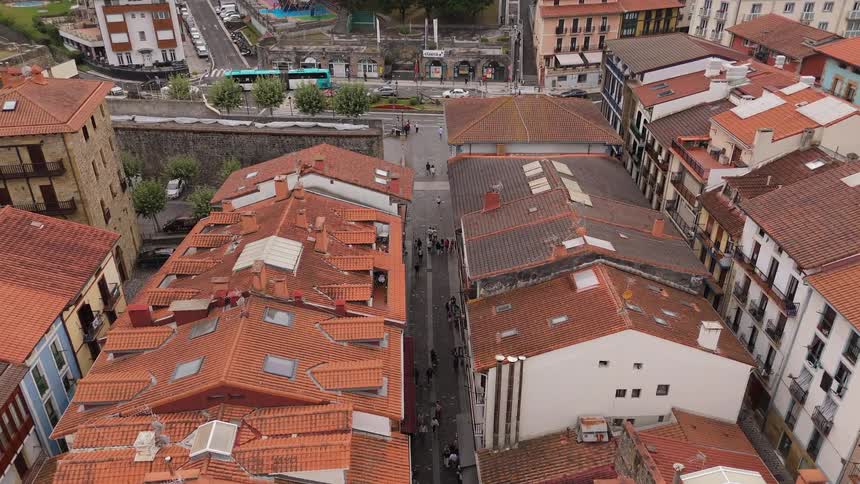 A bird flies over the homes in town