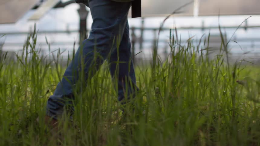 Person in jeans standing in tall grass with workers and solar panels in the background