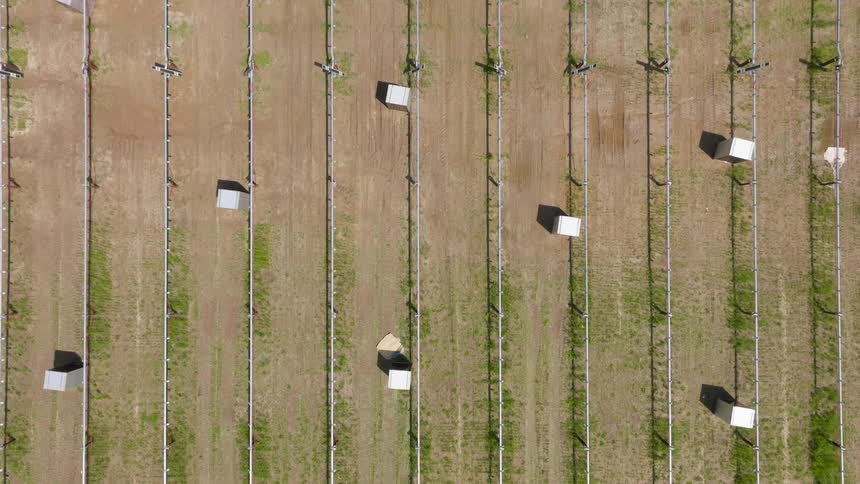 An aerial view of poles setup for a solar field