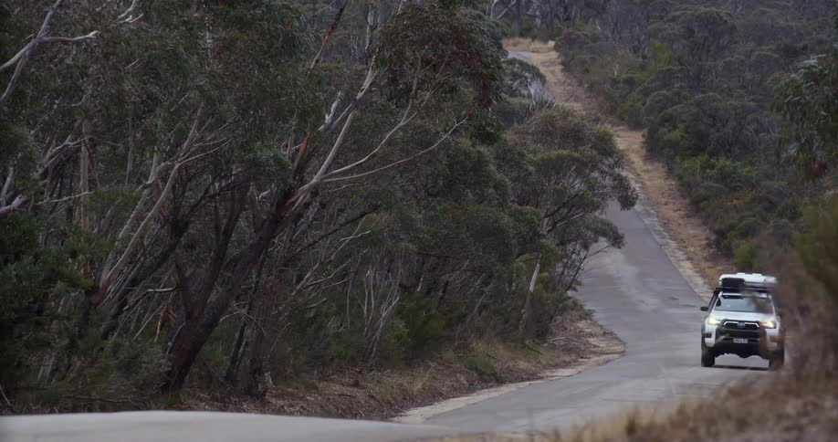 Truck traveling up a hill on a forested mountain road