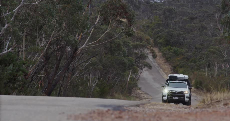 A white car driving with its headlights on a rural road surrounded by trees