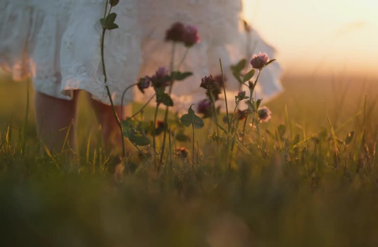 A child in a white dress touches purple wildflowers in a sunlit field before walking away