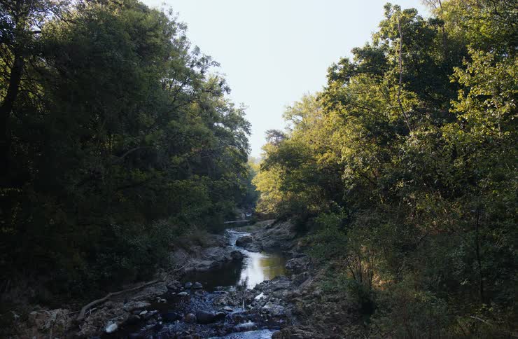Stream running through a forested mountain valley