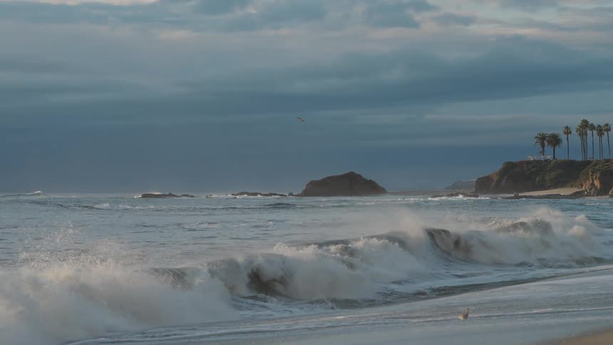 Waves crash on the shore with palm trees in the background under cloudy sky