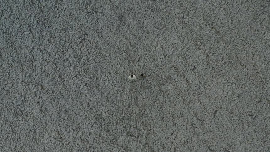 This is a very high topdown drone shot of a textured grayish surface possibly a large expanse of gravel or rough terrain two extremely small figures appearing to be people are centered in the frame making the scale and environment abstract
