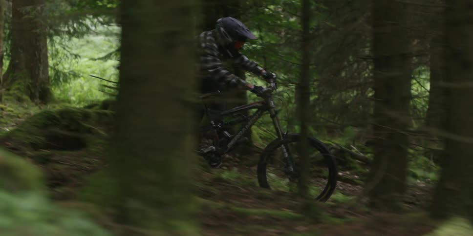 A cyclist wearing a helmet and a checkered jacket speeds a mountain bike down a dirt trail in a dense forest passing rapidly between tree trunks