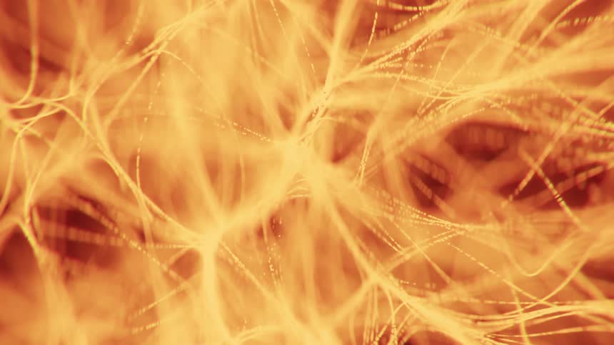 The video shows an abstract warmtoned orangeyellow background with constantly moving threadlike or fiberlike structures the movement resembles organic growth or a neural network creating an energetic and flowing visual texture