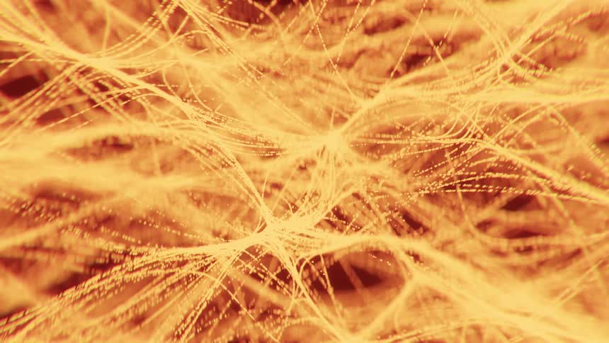 Lightcolored intertwined fibers form complex network over orangetoned background