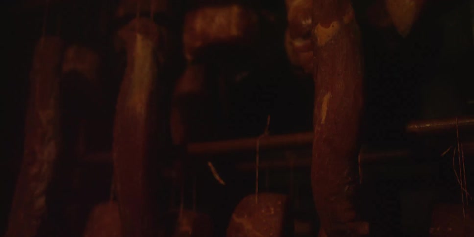 Pieces of meat hanging from rods in a dark setting