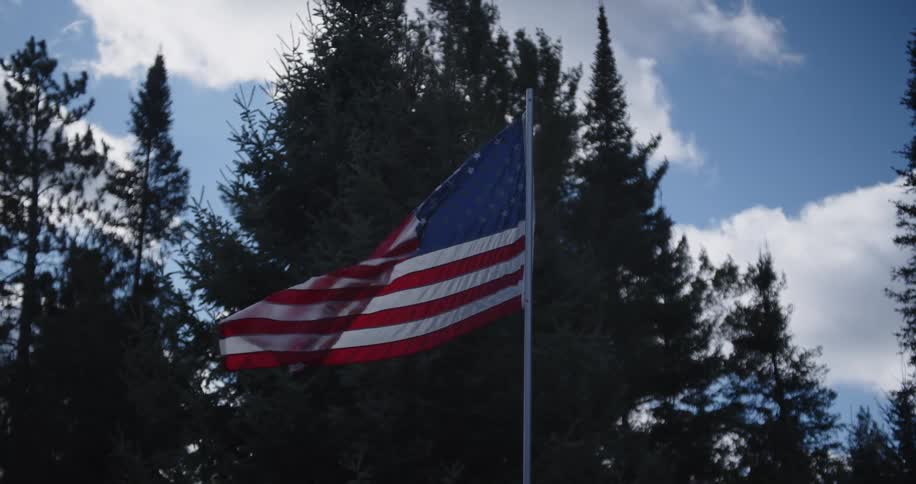United states flag waving in front of tall trees under partly cloudy sky