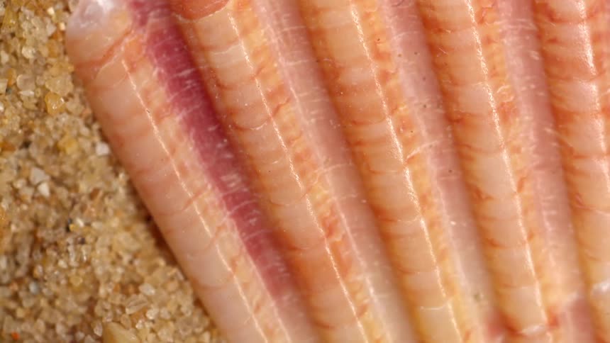 Peach and pink rippled surface lies on a crystalline surface