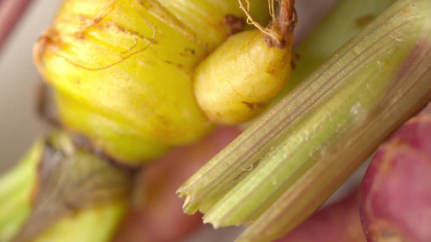 A close up of some vegetables