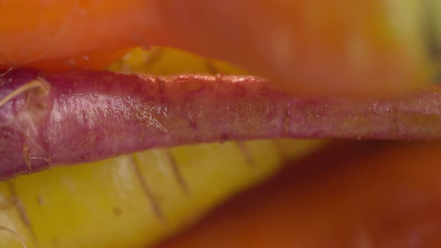 Close up view of carrots and turnips on a table